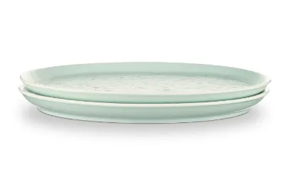 Mint-Green-Stoneware-Dinner-Plate-2.webp