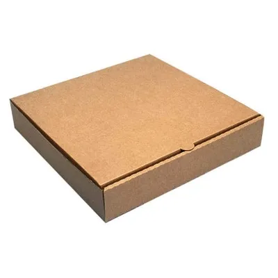 Plain Brown Pizza Box